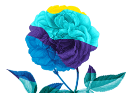 RHS Hampton Court Flower Show: 2nd-6th July 2025