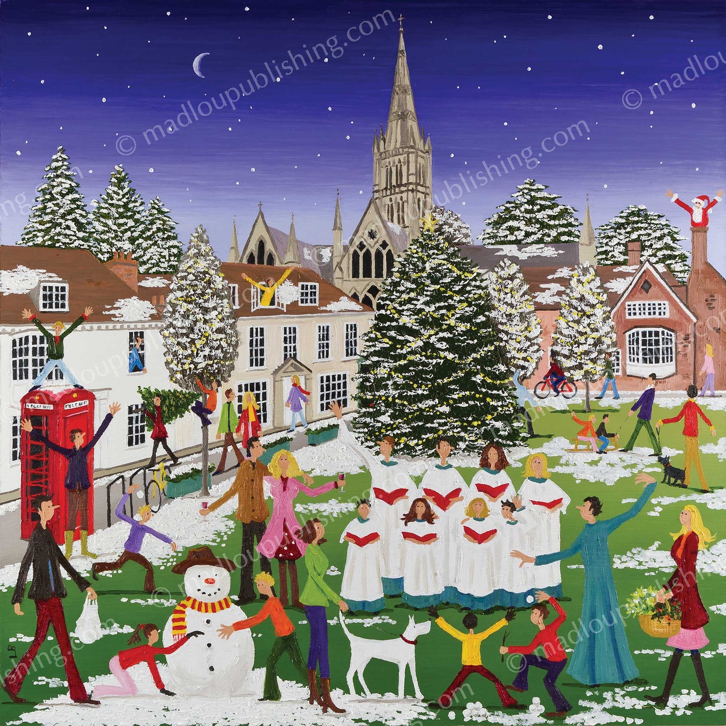Christmas in Salisbury